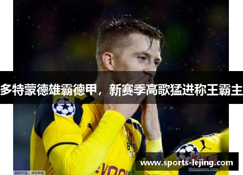 多特蒙德雄霸德甲，新赛季高歌猛进称王霸主